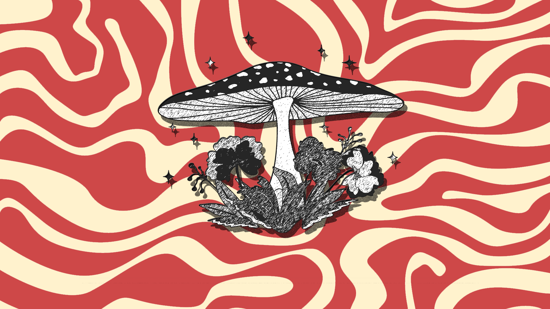 image%20ter%202 image%20ter%202